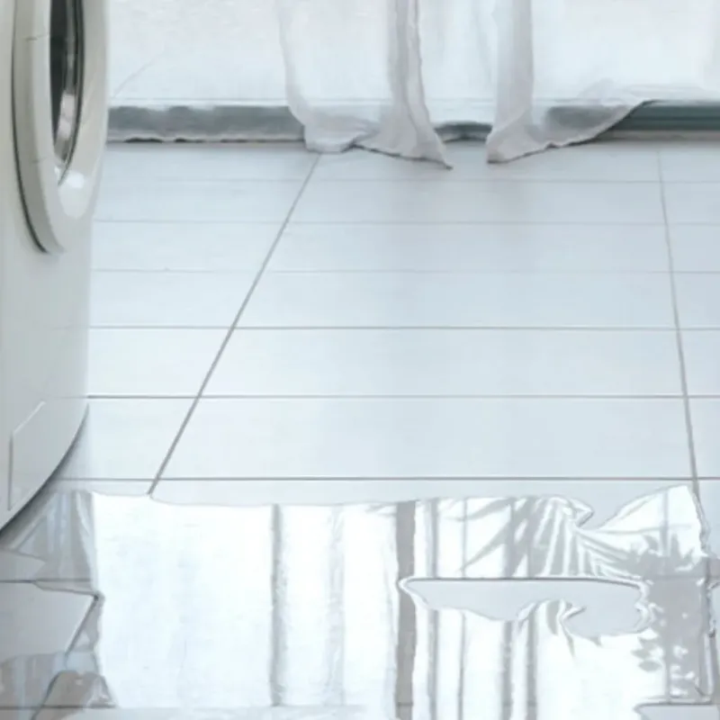 Appliance Leak Cleanup in Mason County, MI
