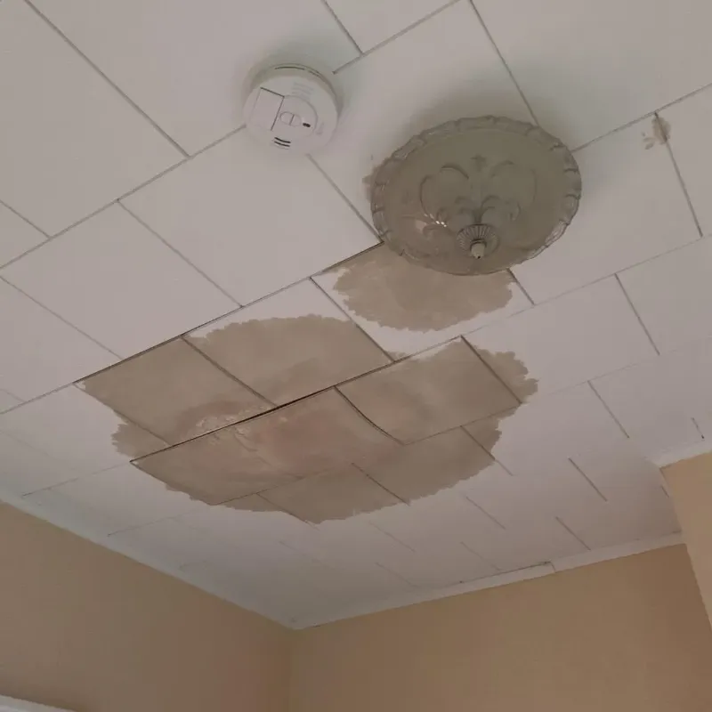 Ceiling Water Damage Repair in Mason County, MI