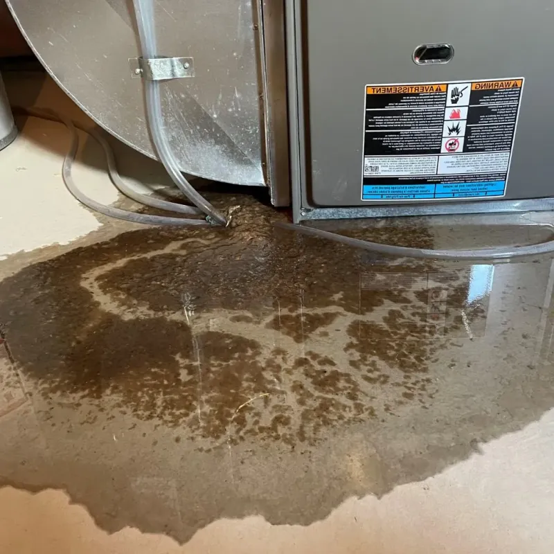 Pipe Burst and Leak Restoration in Mason County, MI