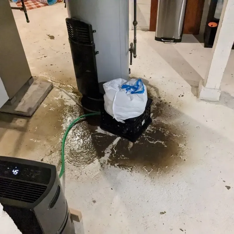 Sewage Backup Cleanup Service in Mason County, MI